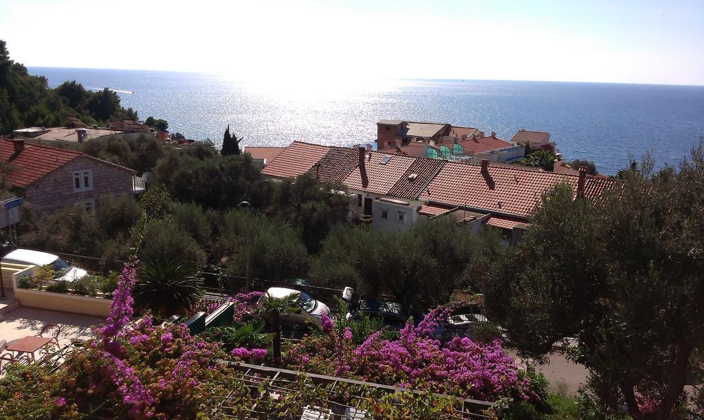 Ljubisa 3* Budva
